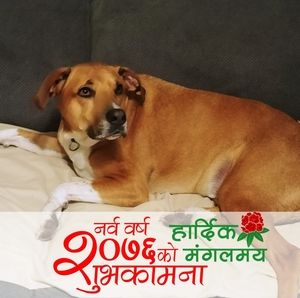 Meet your Posher, Kevin